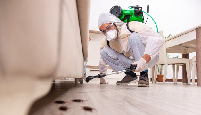 Why Choose Expert Pest Control Services in Hauz Khas, Delhi?