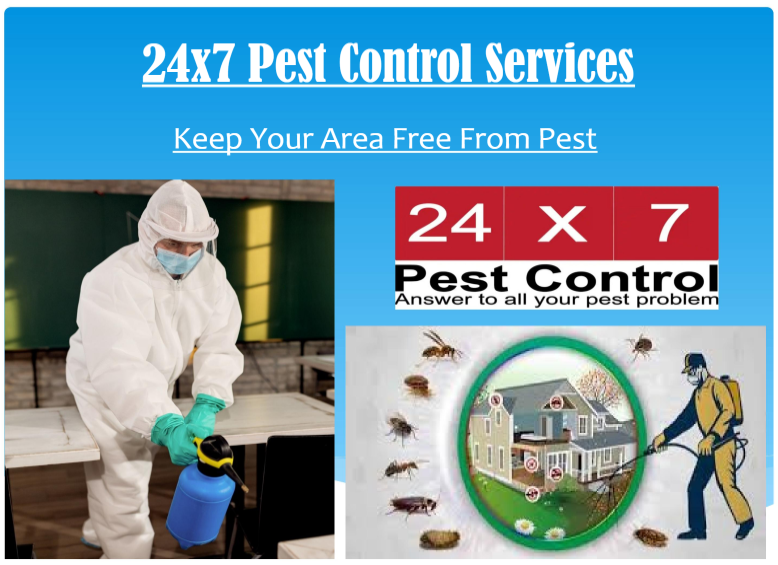 How a Pest Control Company in Gurugram Safeguards Your Space?